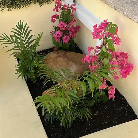 펜션 Casa E Piscina