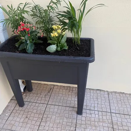 Casa E Piscina 펜션